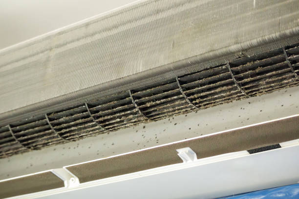 Best Commercial HVAC Duct Cleaning  in Centennial Park, AZ